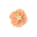 Load image into Gallery viewer, Natural Peach Opal and Spessartite 18K gold pendant top view - NFJSD-1862
